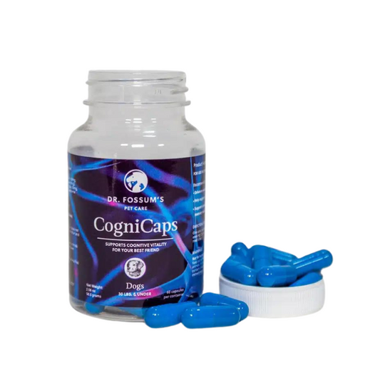 CogniCaps อาหารเสริมสำหรับสุนัขช่วยบำรุงสมองและระบบประสาท
